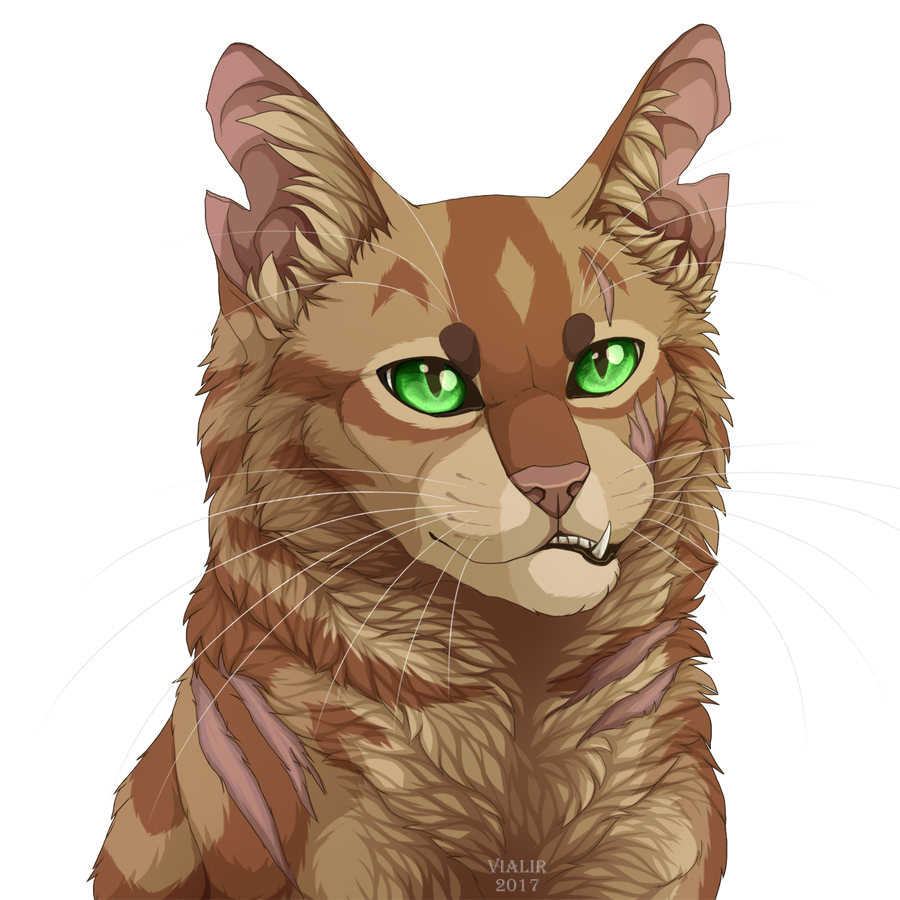 Firestar by Vialir on DeviantArt