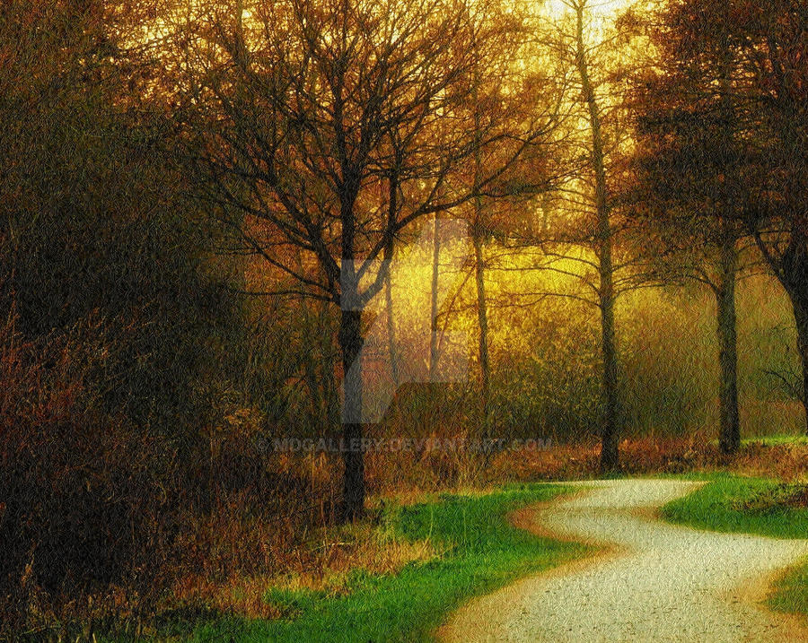 Winding path by MDGallery on DeviantArt