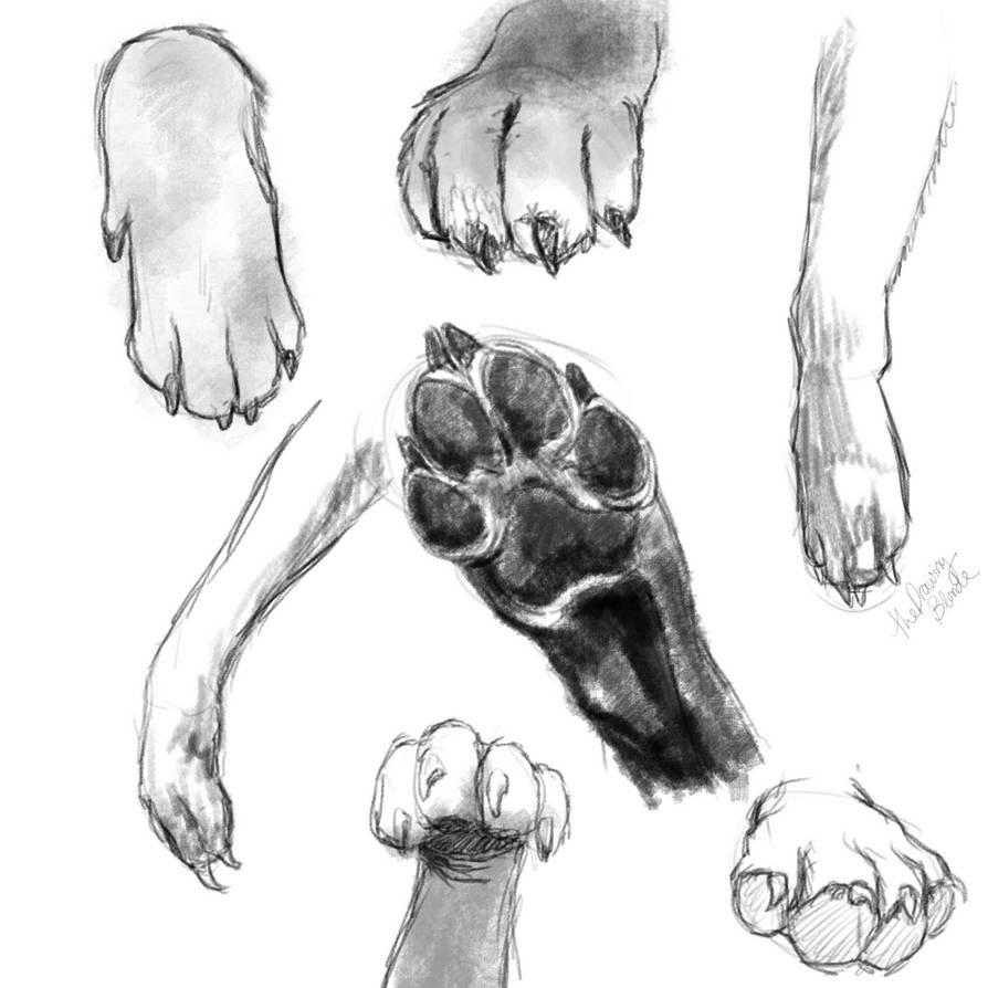 Dog paw 2 by TheDrawingBlonde on DeviantArt