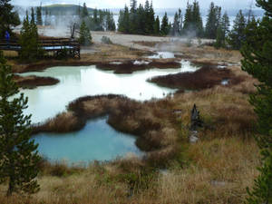 Yellowstone 2