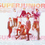 GPX Super Junior M 01