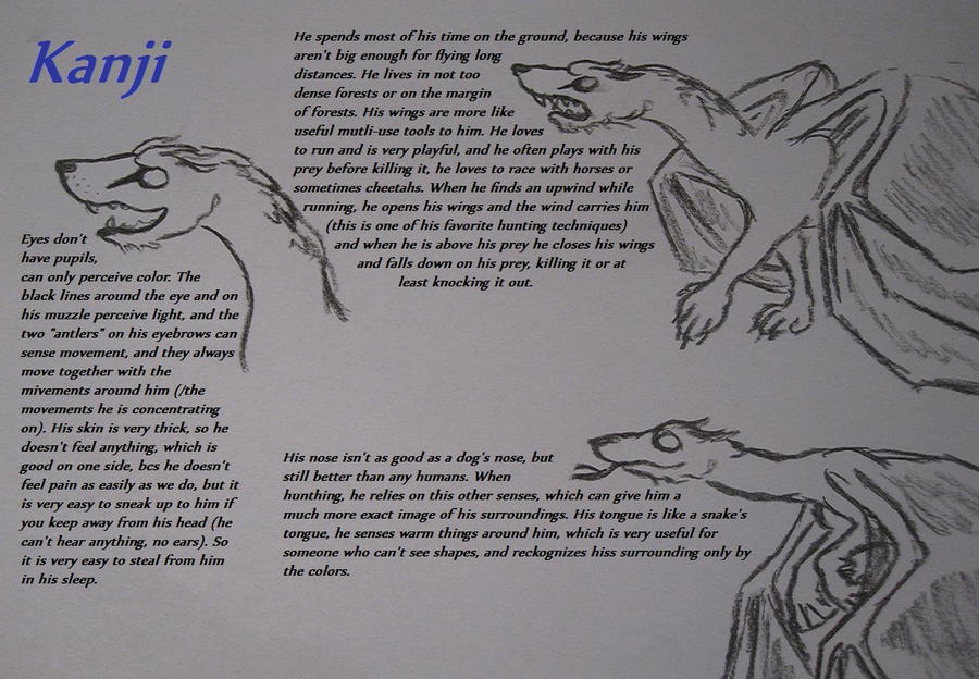 Banji References Kanji reference sheet - 1 by BikoToughenUp on DeviantArt