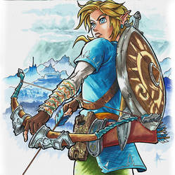 Link - Zelda Breath of the wild