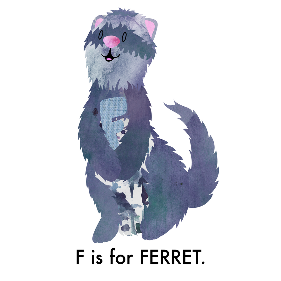 F is for Ferret