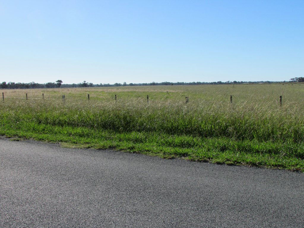 Down The Back Paddock