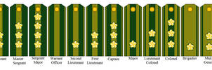 Number Ranks Japanese Neo-Imperial Japanese Naval Rank Insignia by tylero79 on DeviantArt