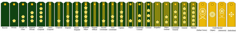 Rank Insignia of the Imperial Neo-Japanese Empire