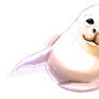 : Sunny Seal :