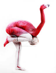 GesineMarwedel Flamingo