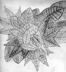 Leaf Sketch Experiment