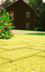 Follow the Yellow Brick Road