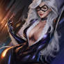 Black cat