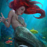 Ariel