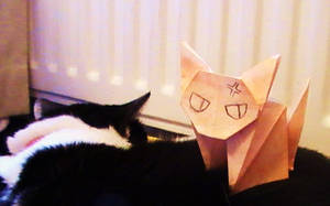 Origami Kyo