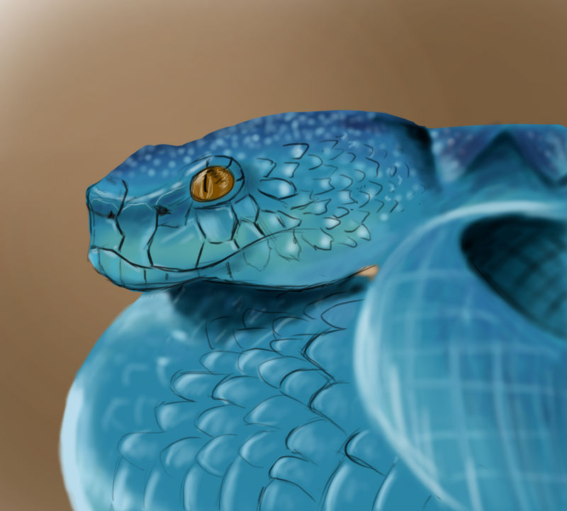 daily drawing snake by grengster on