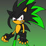 Ashura The Hedgehog