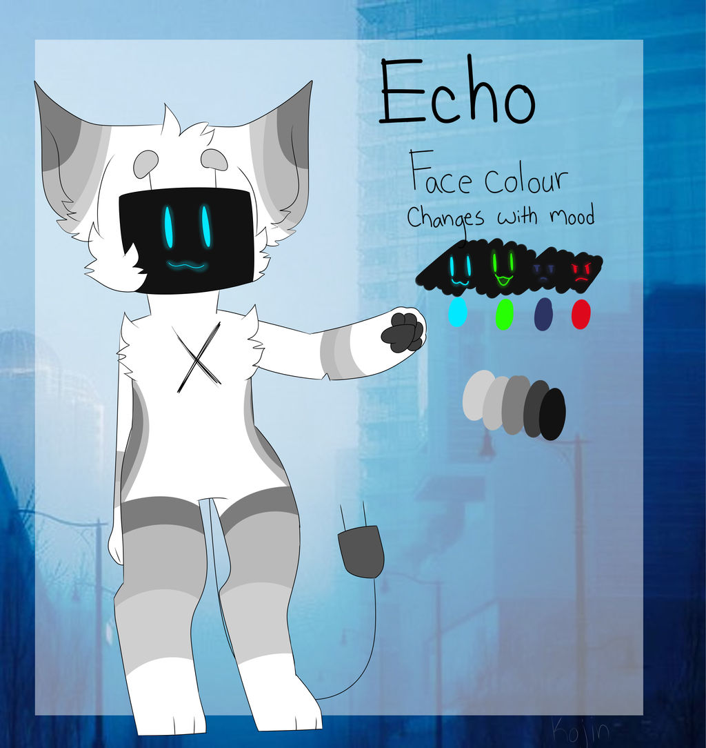 echo 2017 ref