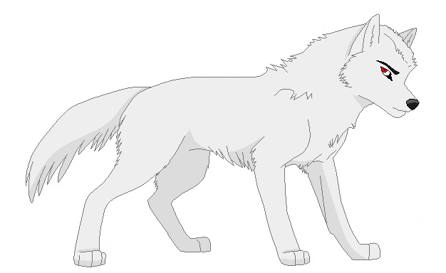 Anime Wolf Base Drawing.