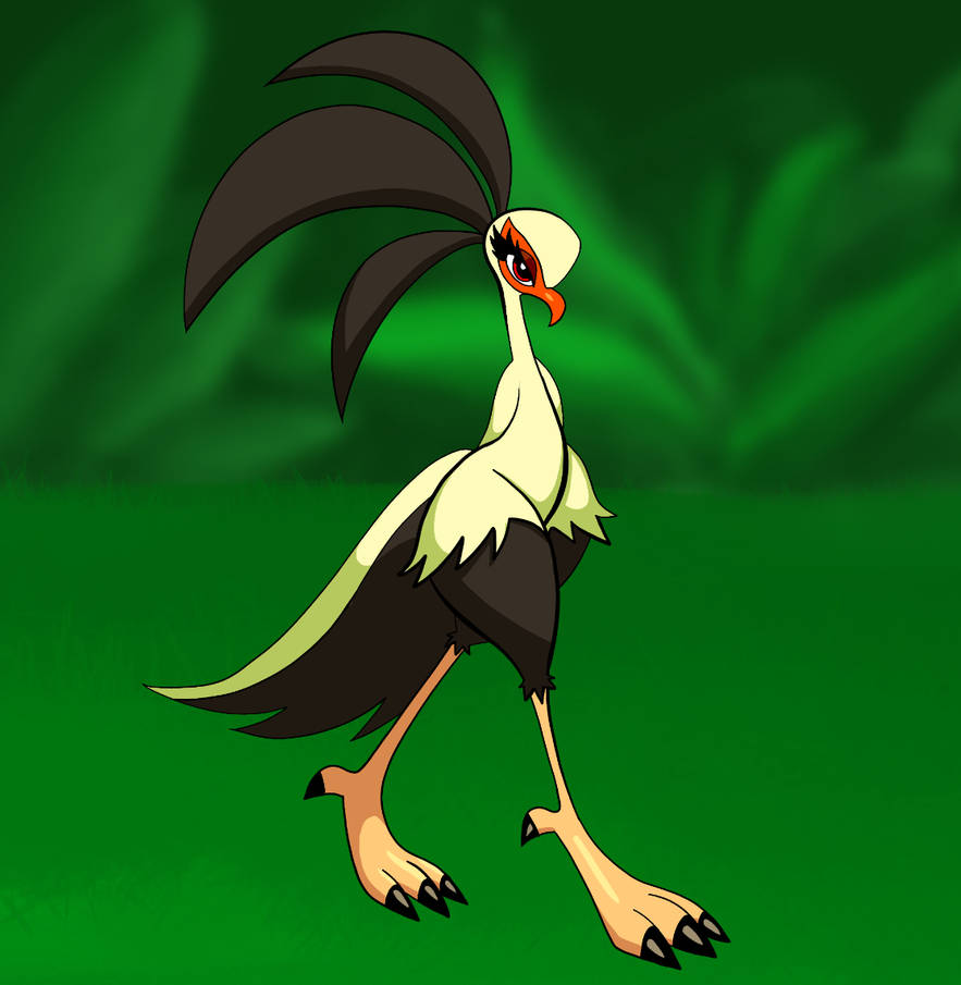 Turtle Secretary Secretary bird by Shuacraft on DeviantArt
