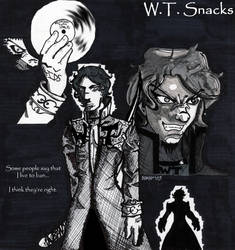 W.T. Snacks