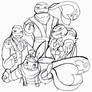 Four Gym Leader Turtles