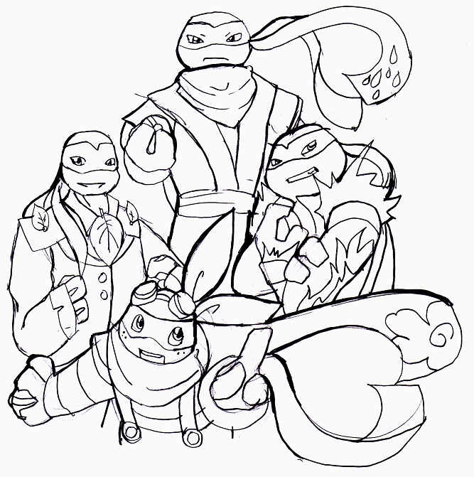 Four Gym Leader Turtles