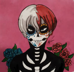 Skull candy todoroki