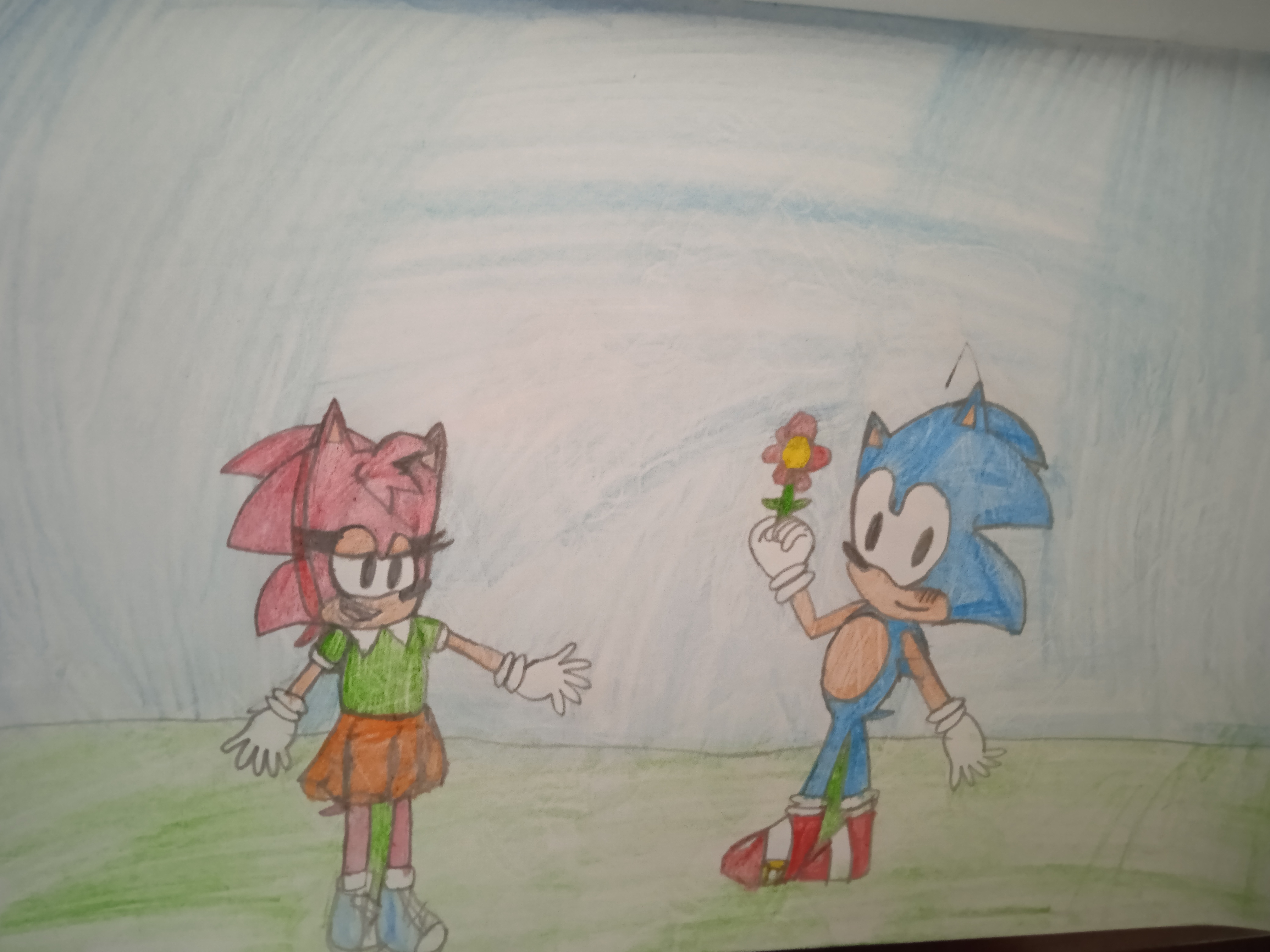 Sonic giving flowers to Amy  Sonic and amy, Hedgehog movie, Sonic