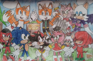 Sonic, Shadow, Tails, Amy Rose, Rouge and Knuckles