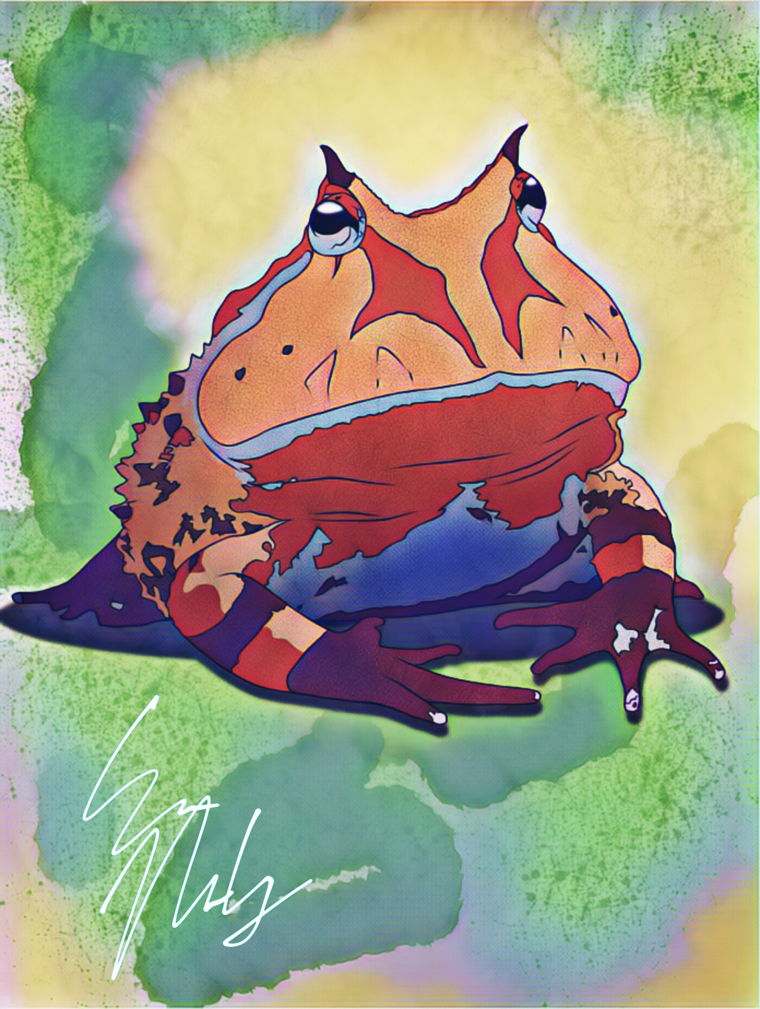 Angry Pacman Frog Pacman Frog by psychojoinmycult on DeviantArt