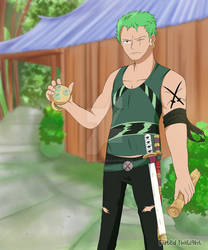 One Piece - Zoro the Navigator by FatedTwilight