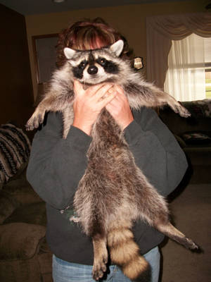 Please lady,put me down by shianne2121 Please lady,put me down by shianne2121