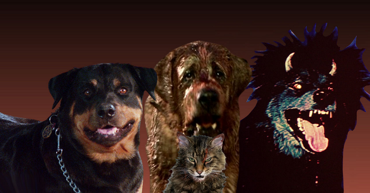 Terrifying Deviantart A Terrifying Cat and 3 Scary Dogs by DC29Entertaiment on DeviantArt