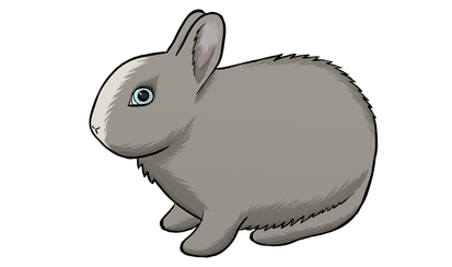 Lapin Cutie