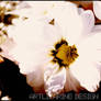 hivernal ::02::