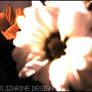 hivernal ::03::