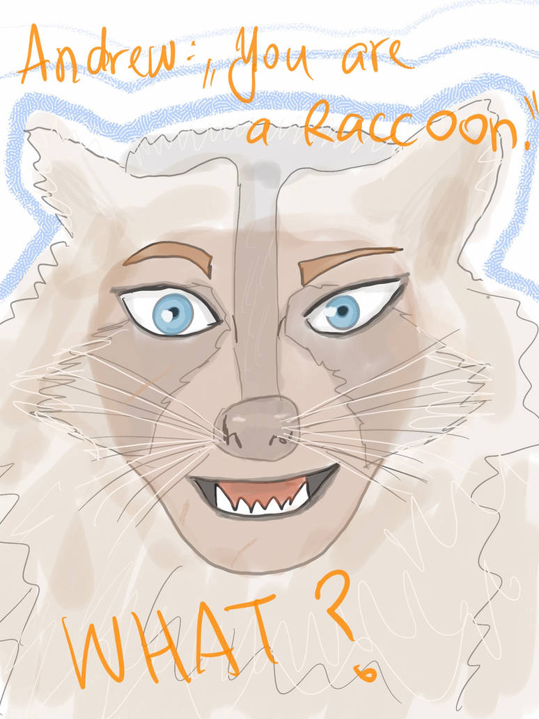 Andy Raccoon Andrew said Neil is a Raccoon by Maggizee on DeviantArt