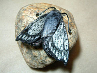 Silver moth (faux!)