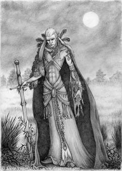 Elf necromancer