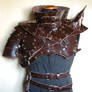 Leather armour and gorget