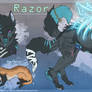 Razor Reference Sheet 2013