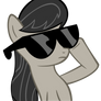 Octavia Glasses