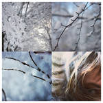 Winter by mnoo