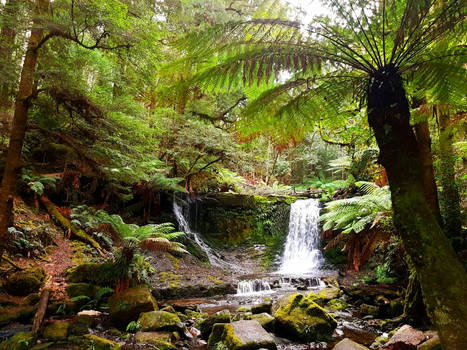 Horse Shoe Falls, Tasmania