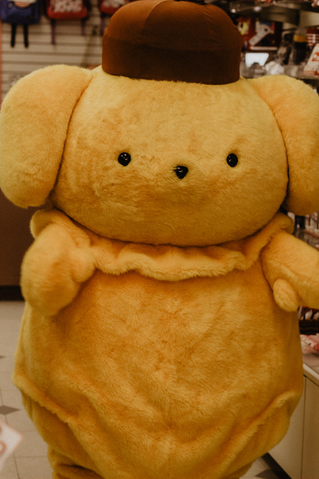 Pompompurin Pacifier Pompompurin (2 of 1) by Thepieholephotograph on DeviantArt