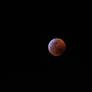 Blood Moon (5 of 1)
