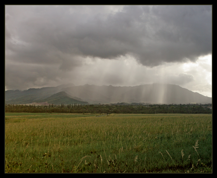 Rain Shower