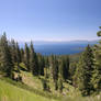 Tahoe 1