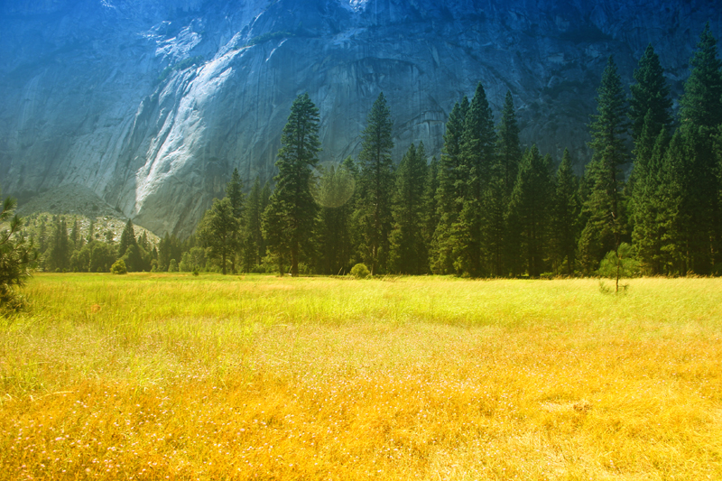 Yosemite Valley Trial 2a