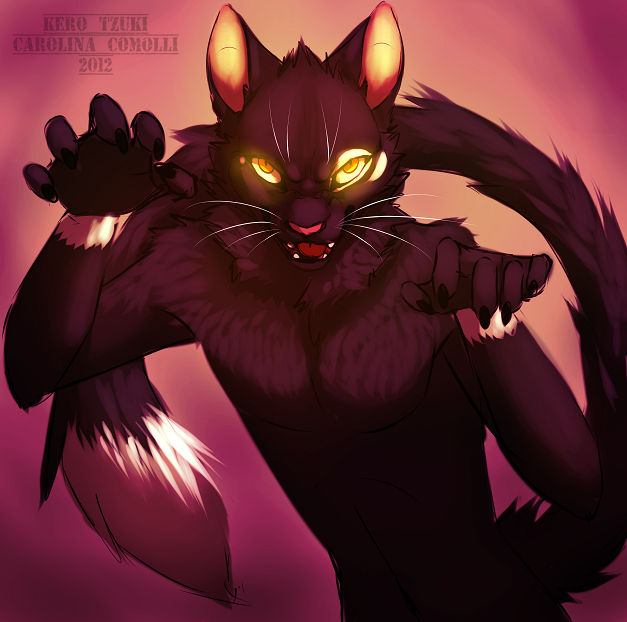 Polymorph Cat Anthropomorphic Cat by KeroTzuki94 on DeviantArt